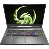 MSI Alpha 17 A4DEK-011 17.3" Gaming Notebook - Full HD - AMD Ryzen 7 4800H - 16 GB - 1 TB SSD - Aluminum Black