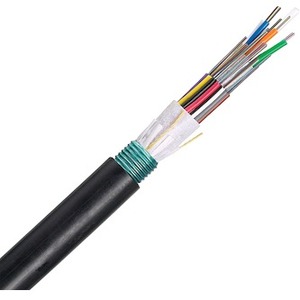 Panduit Fiber Optic Network Cable - Fiber Optic Network Cable for Network Device - 1