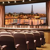 Draper Paragon V 307" Projection Screen