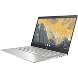HP Pro c640 14" Chromebook - Full HD - Intel Core i7 11th Gen i7-1185G7 - 16 GB - 128 GB SSD