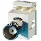Ortronics Bnc Connector Keystone Module, 180 Degree Exit, F/f, (50 Ohm), Fog White