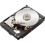 Lenovo 1.80 TB Hard Drive - 2.5" Internal - SAS (12Gb/s SAS) - 10000rpm - Hot Swappable
