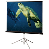 Draper Diplomat/R Projection Screen