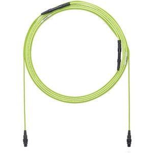 Panduit Trunk Cable Assembly