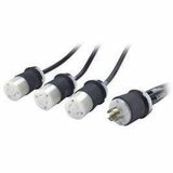 Power Cord Splitter, L21-20P to (3)L5-20R
