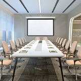 Draper Acumen XL E 220" Projection Screen
