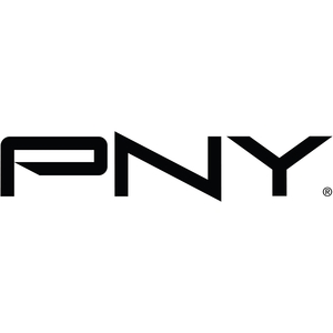 PNY Mini DisplayPort (M) to DVI-D (F) (Pack of 4)
