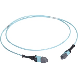 Black Box MTP OM3 Fiber Optic Trunk Cable - Plenum, 24-Strand, Straight-Pinned - 98.43 ft Fiber Optic Network Cable for Network Device, Patch Panel, Blade Server, Switch, Fiber Optic Cassette - First End: 1 x MTP/MPO Network - Female - Second End: 1 x MTP/MPO Network - Female - Trunk Cable - Plenum, OFNP - Aqua, Blue