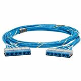 Panduit QuickNet Cat.6a UTP Trunk Network Cable