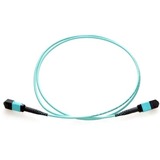 Axiom MPO Female to MPO Female Multimode OM4 50/125 Fiber Optic Cable - 50m